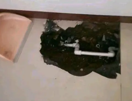焦作卫生间测漏水多少钱